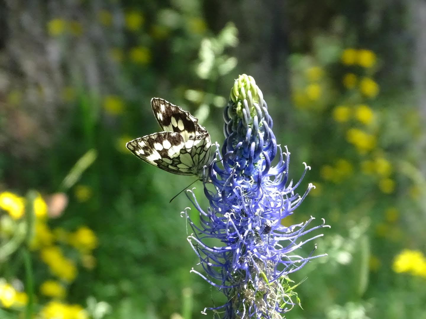 Brevi consigli per il caldo