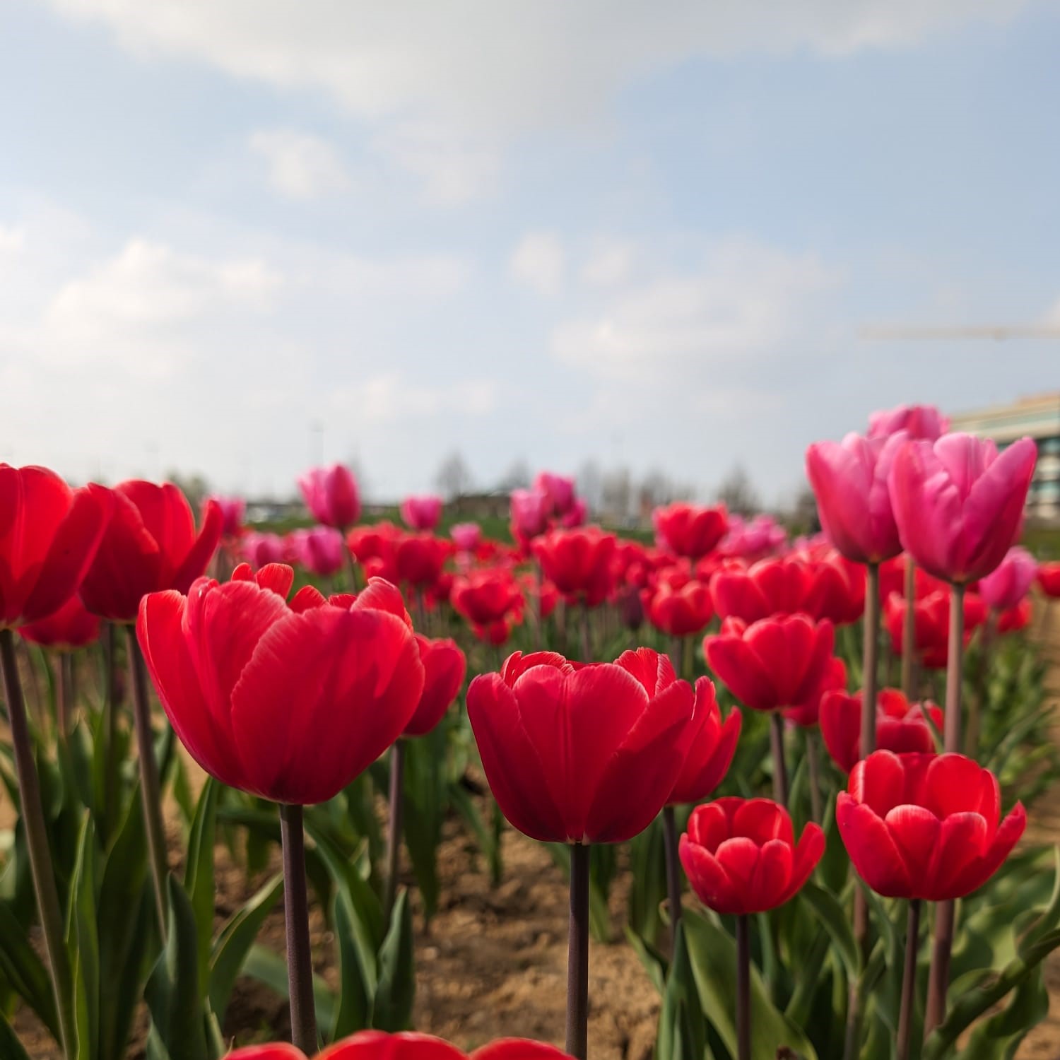 L'elemento che domina ora è l'aria